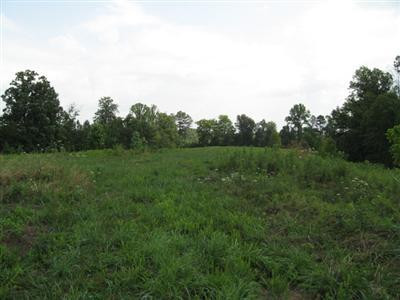 111 Locust Grove Road Keavy, KY 40737 - Photo 4 of 4 Photo 4