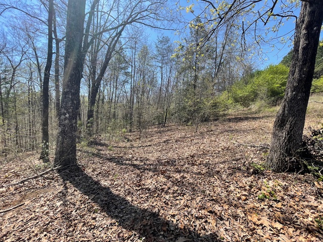 132 Sweetwater View Road Seneca, SC 29672 - Photo 11 of 16 Gently sloping areas; Mixed hardwoods.