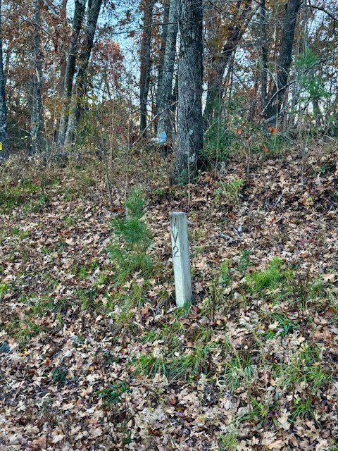 132 Sweetwater View Road Seneca, SC 29672 - Photo 12 of 16