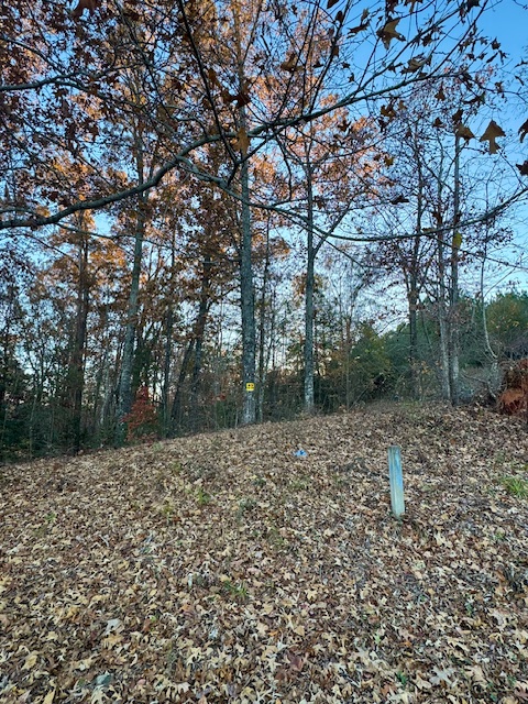 132 Sweetwater View Road Seneca, SC 29672 - Photo 13 of 16