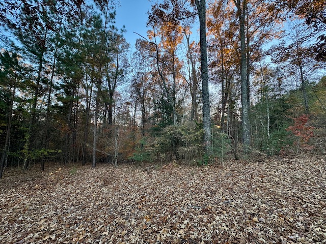 132 Sweetwater View Road Seneca, SC 29672 - Photo 14 of 16 Gently sloping areas; Mixed hardwoods.