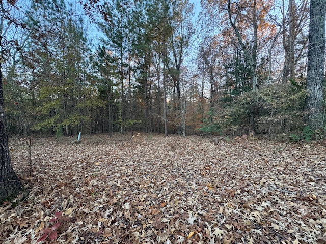 132 Sweetwater View Road Seneca, SC 29672 - Photo 15 of 16 Gently sloping areas; Mixed hardwoods.