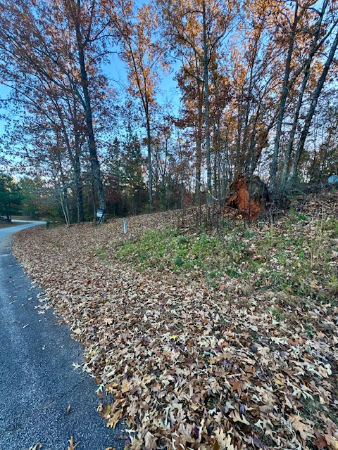 132 Sweetwater View Road Seneca, SC 29672 - Photo 5 of 16 Street