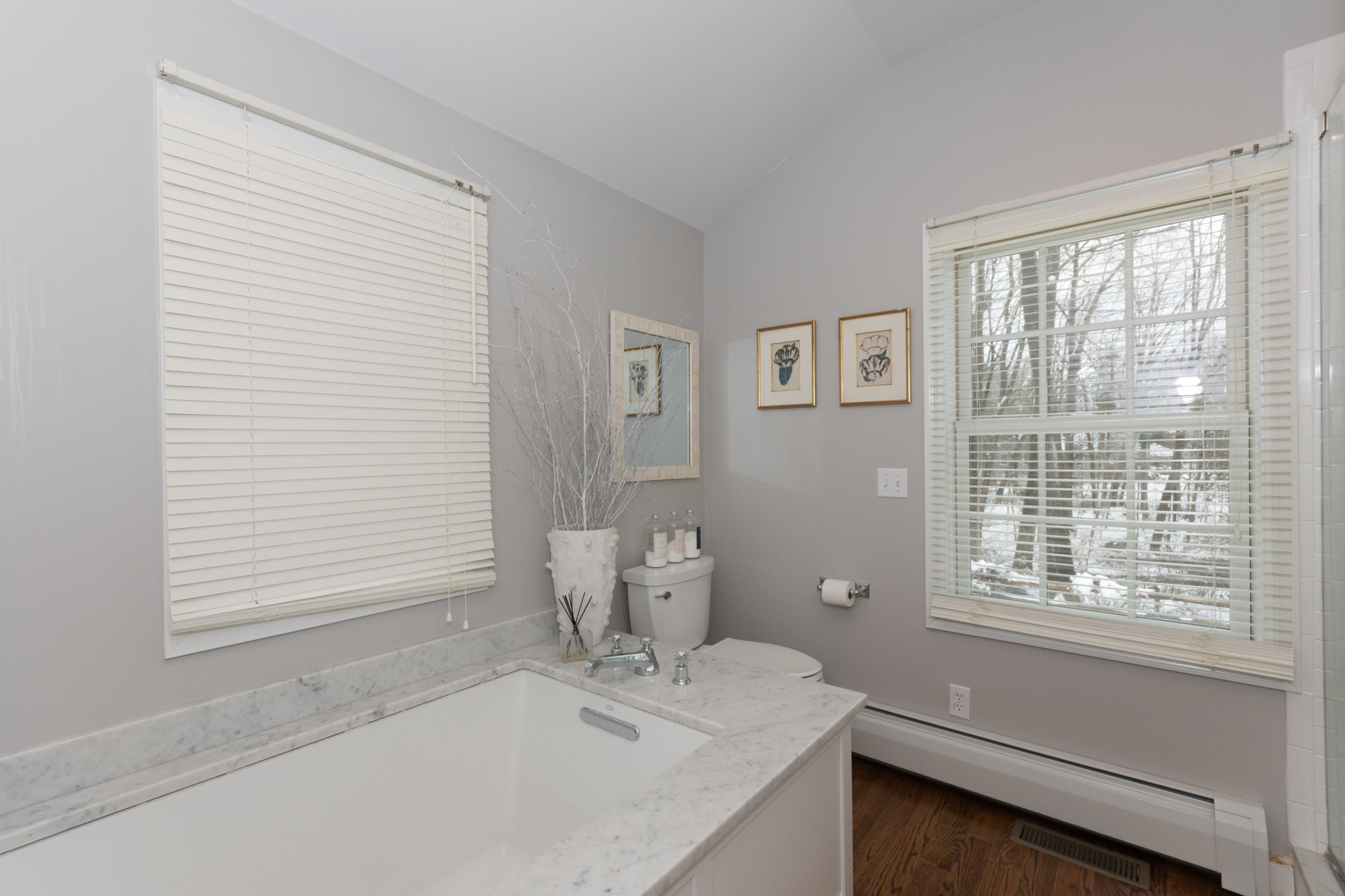 183 Smith Ridge Road New Canaan, CT 06840 - Photo 19 of 30 a bathroom with a sink a toilet and shower