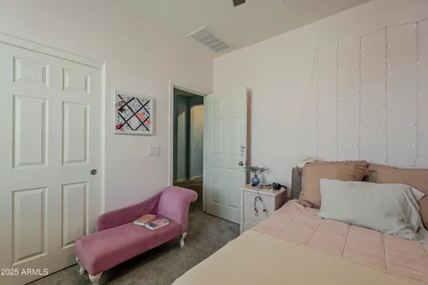 a view of a park with palm trees