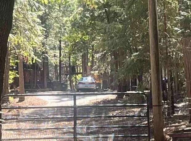 $206,250 | 30889 Bambi Drive, Shingletown, CA 96088