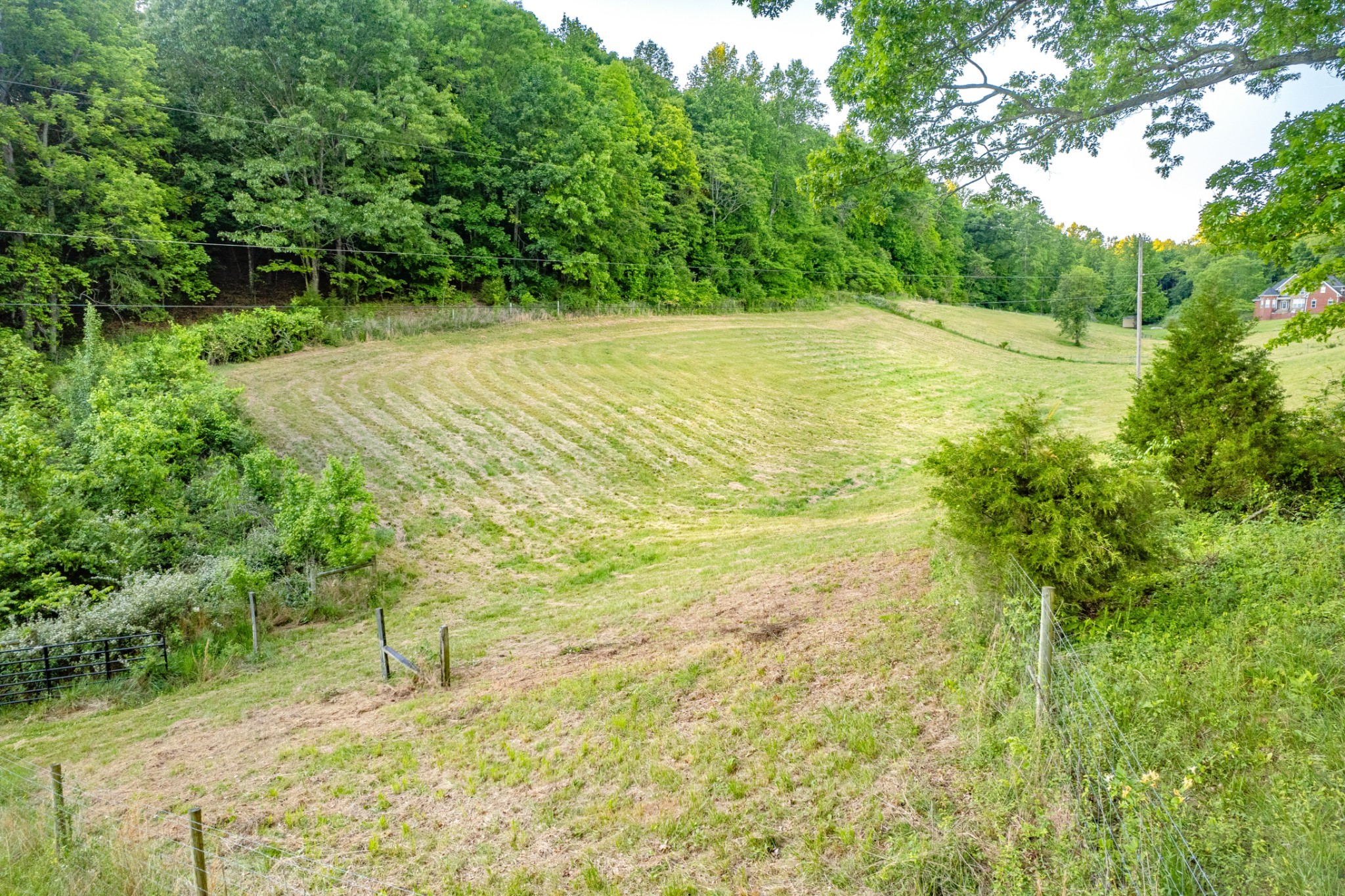 6 Young Road Pulaski, TN 38478 - Photo 9 of 16 Gallery Image 9