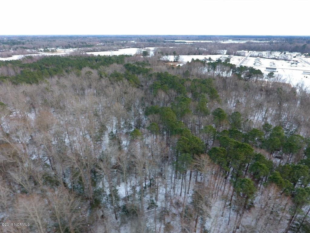 26.89 Bynum Farm Road Pinetops, NC 27864 - Photo 4 of 43 4 (1024x768)