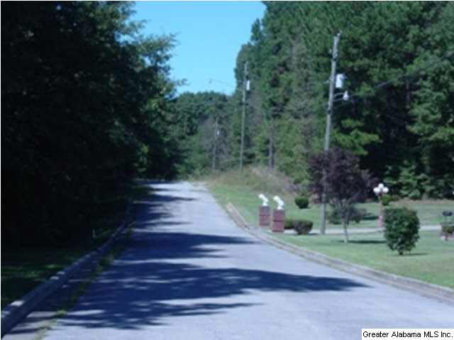 1504 Patterson Street Anniston, AL 36201 - Photo 4 of 6