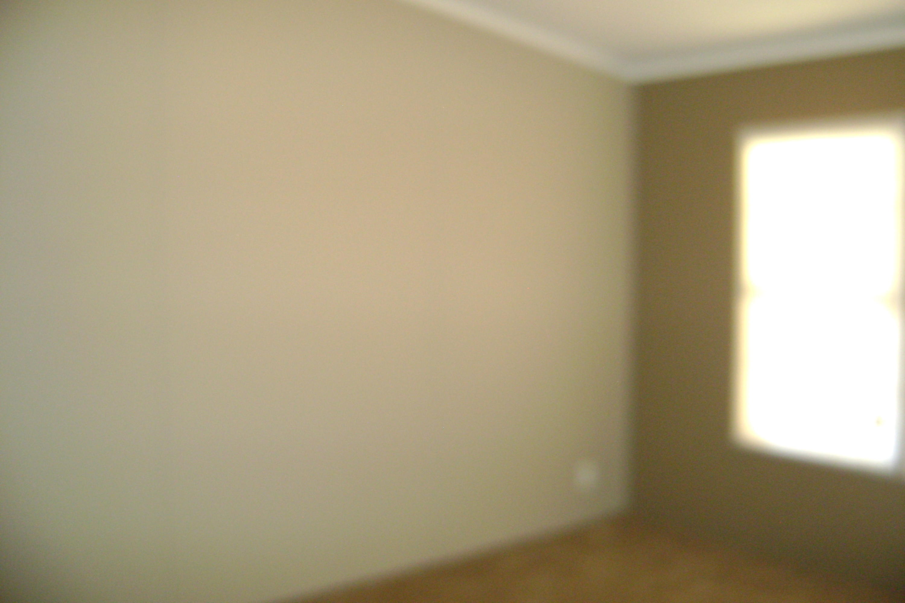 4584 Slygo Road Trenton, GA 30752 - Photo 8 of 13 167