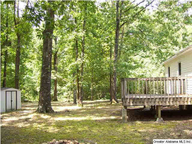 902 Rock School Road Harpersville, AL 35078 - Photo 16 of 16