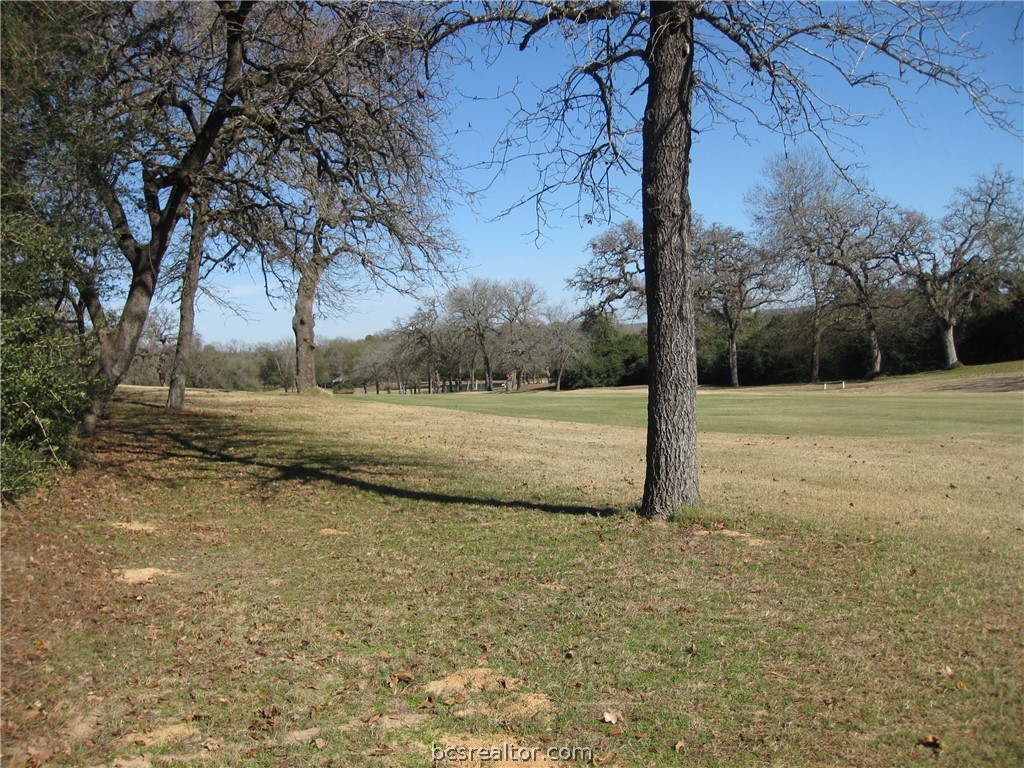 a view of dirt field with large trees