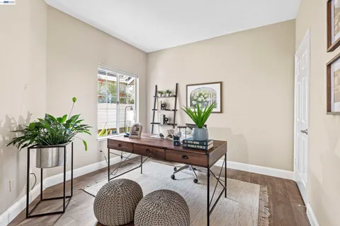 a living room with furniture potted plant and a window