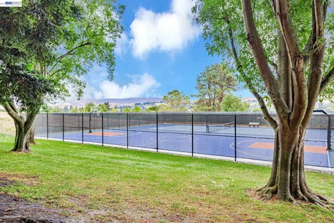 a view of a backyard with a tree