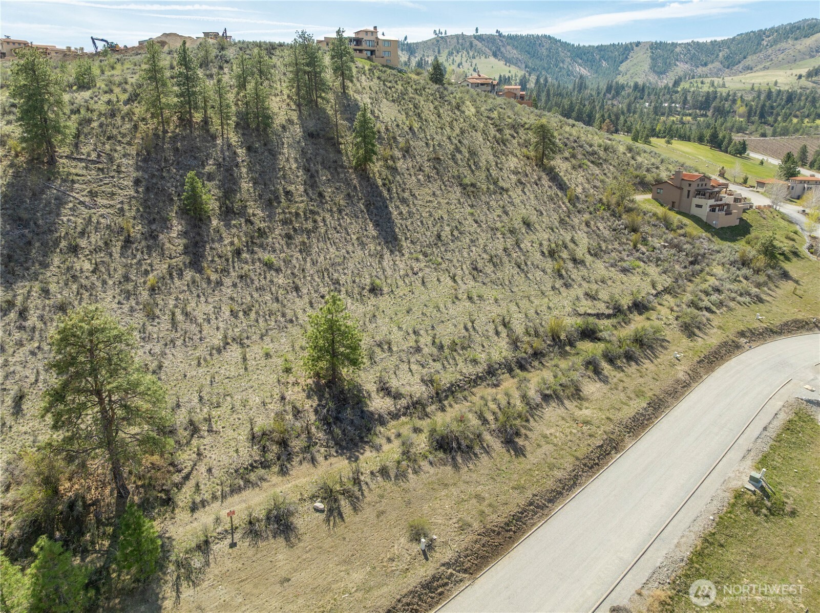 221 Bandera Way Chelan, WA 98816 - Photo 17 of 19 a view of a forest with a forest