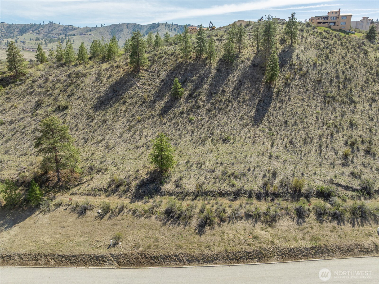 221 Bandera Way Chelan, WA 98816 - Photo 18 of 19 a view of a forest with a forest