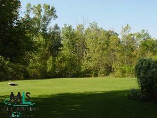 215 Brockway Road Yale, MI 48097 - Photo 9 of 9 593883-8.JPG