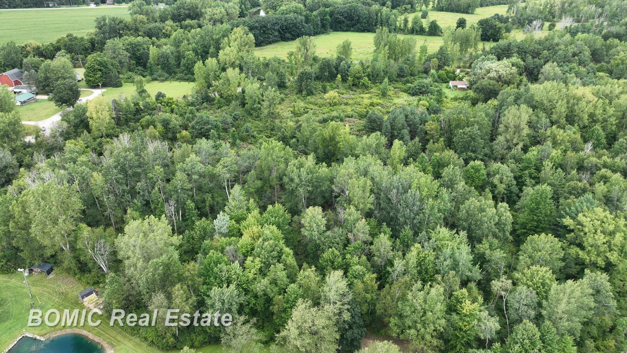 0 Hess Road Millington, MI 48746 - Photo 4 of 10