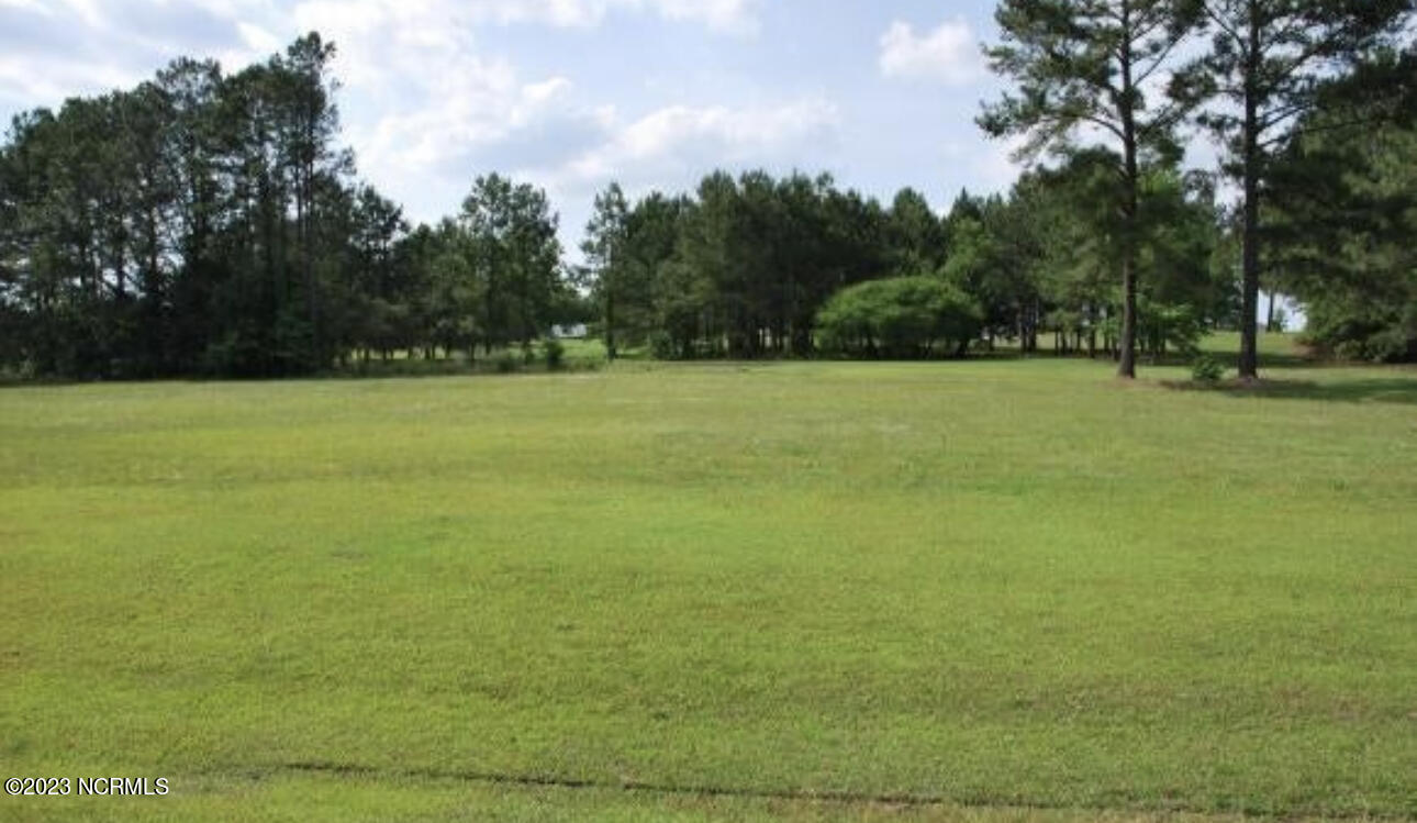 30 Beaver Creek Road Deep Run, NC 28525 - Photo 1 of 1 9F4F13C1-8982-424B-A4DD-25215C7D9F01