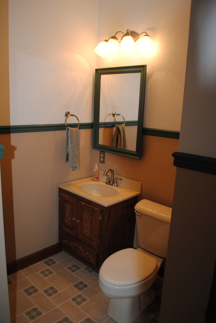 208 Ridge Street Mount Carroll, IL 61053 - Photo 7 of 16 a bathroom with a toilet a sink and mirror