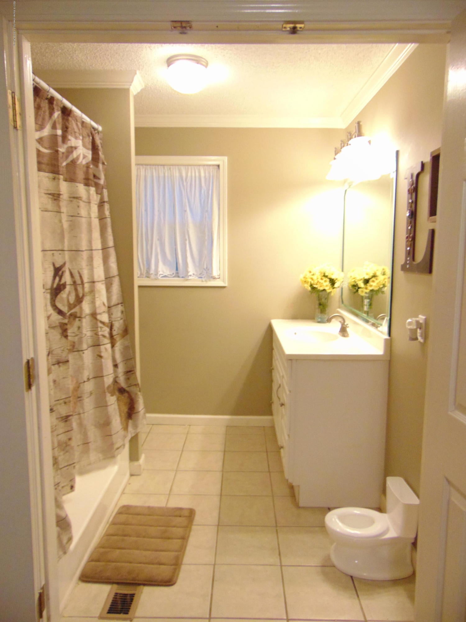 113 Dave Akins Road Jasper, AL 35504 - Photo 8 of 22 Gallery Image 8