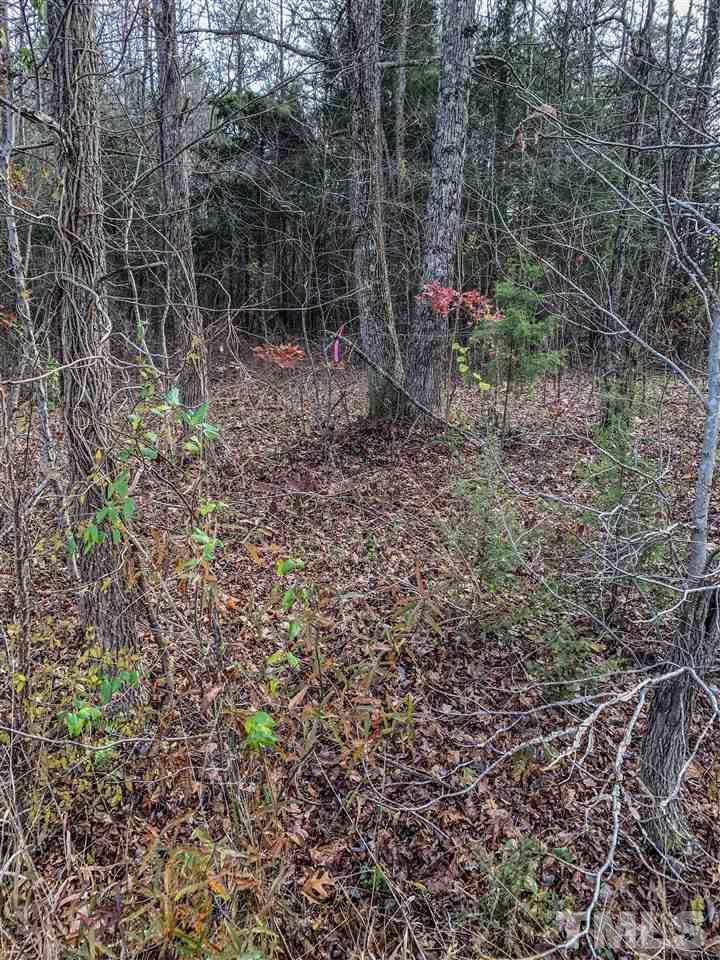 .97-acre Cousin Road Rougemont, NC 27572 - Photo 5 of 5