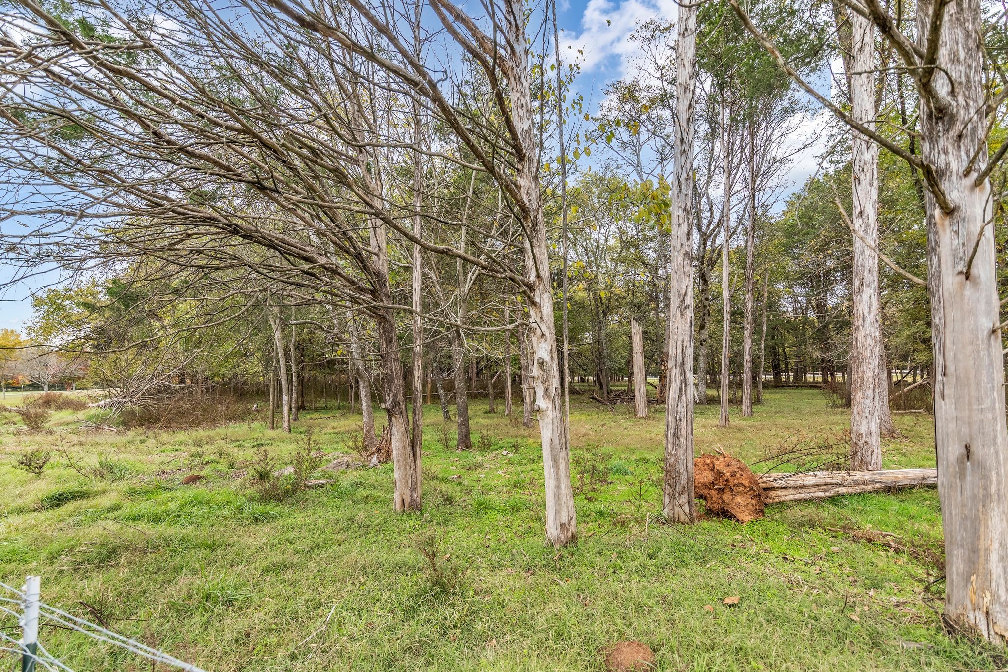 3351 Shacklett Road Murfreesboro, TN 37129 - Photo 68 of 70 Gallery Image 68