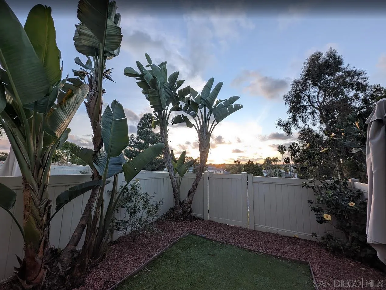 324 Countrywood Lane Encinitas, CA 92024 - Photo 25 of 42 a view of a backyard