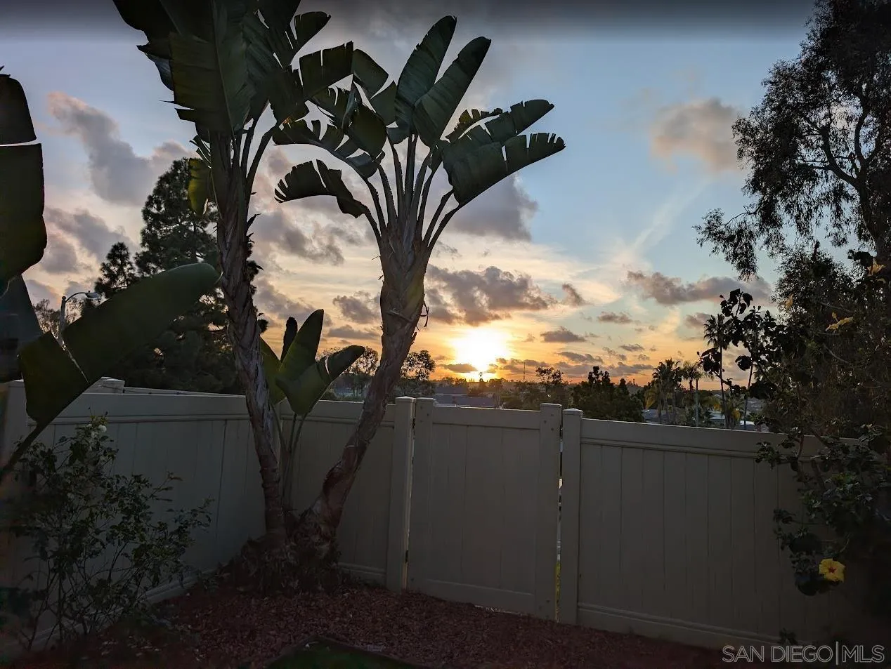 324 Countrywood Lane Encinitas, CA 92024 - Photo 26 of 42