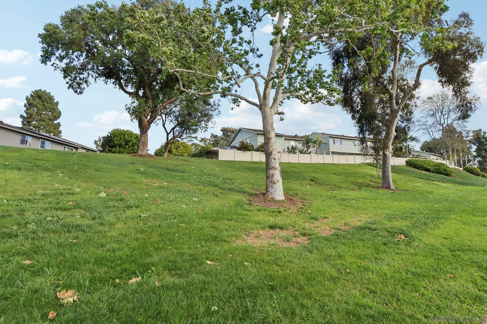 324 Countrywood Lane Encinitas, CA 92024 - Photo 29 of 42 a view of backyard with tree