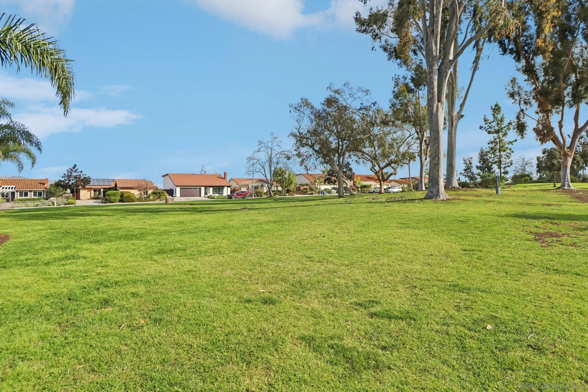 324 Countrywood Lane Encinitas, CA 92024 - Photo 40 of 42 a view of a field with large trees
