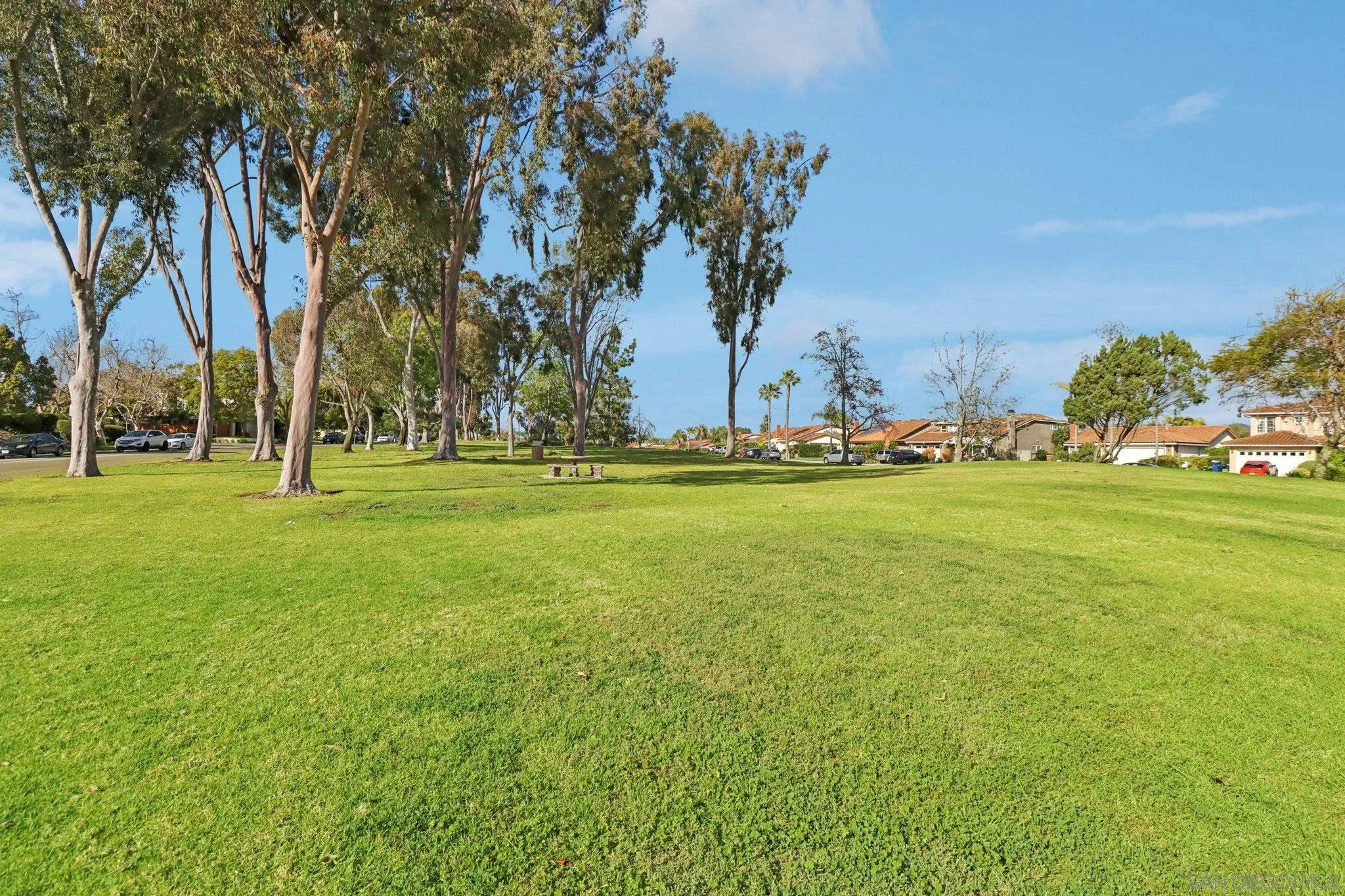 324 Countrywood Lane Encinitas, CA 92024 - Photo 42 of 42 a view of a field with tree s