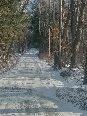 $25,000 | Burdick Hill Road, Otego, NY 13825