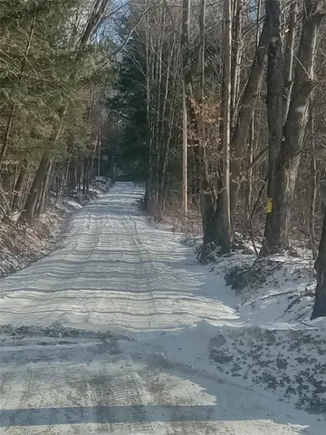 $25,000 | Burdick Hill Road, Otego, NY 13825