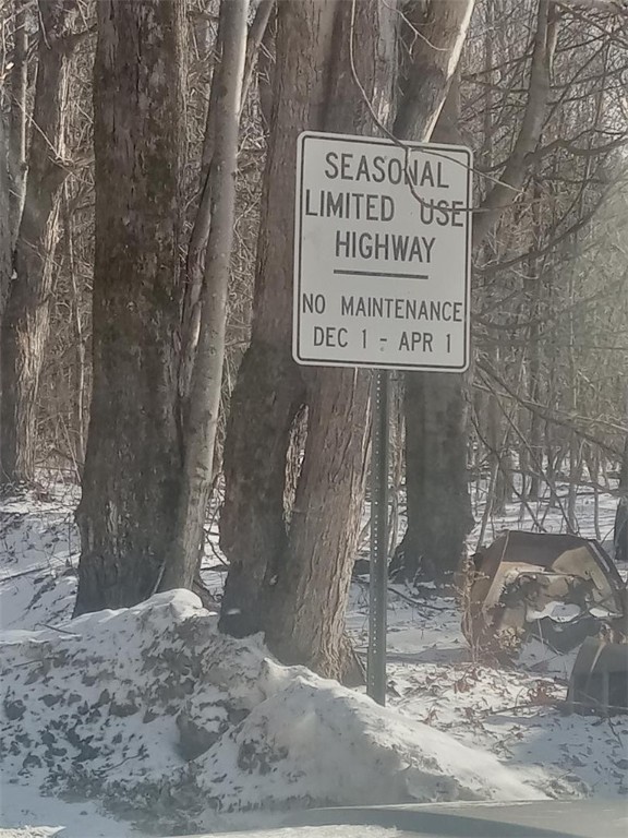 Burdick Hill Road Otego, NY 13825 - Photo 2 of 3