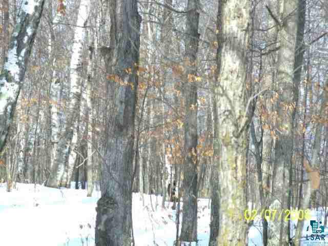 0 Perch Lake Road Spooner, WI 54801 - Photo 3 of 3
