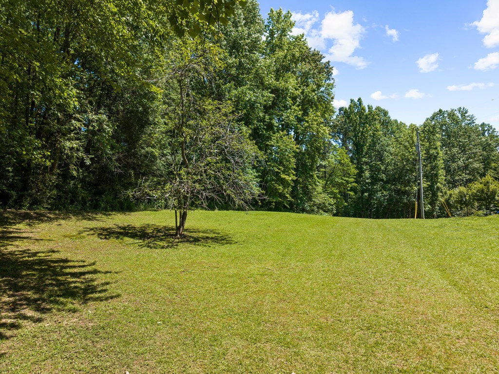 51 Haddock Drive Blue Ridge, GA 30513 - Photo 6 of 37 Gallery Image 6