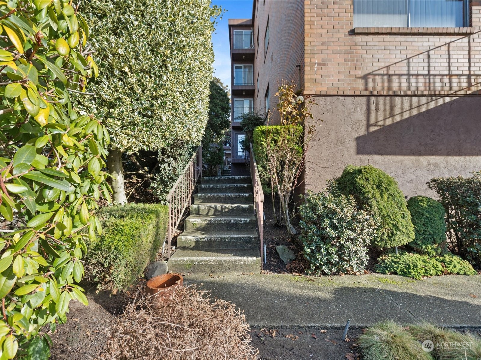 2619 Rucker Avenue, Unit 2 Everett, WA 98201 - Photo 5 of 39 a view of a pathway of flower plants