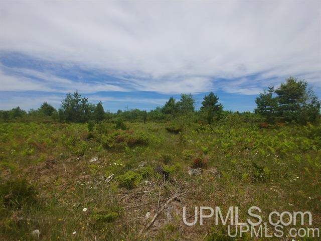 40-acres Davidson Road Manistique, MI 49854 - Photo 14 of 30 Gallery Image 14