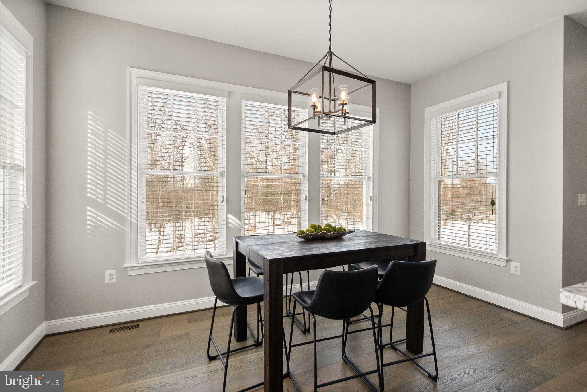 41841 Bloomfield Path Street Ashburn, VA 20148 - Photo 7 of 22 Breakfast room overlooking private woods.