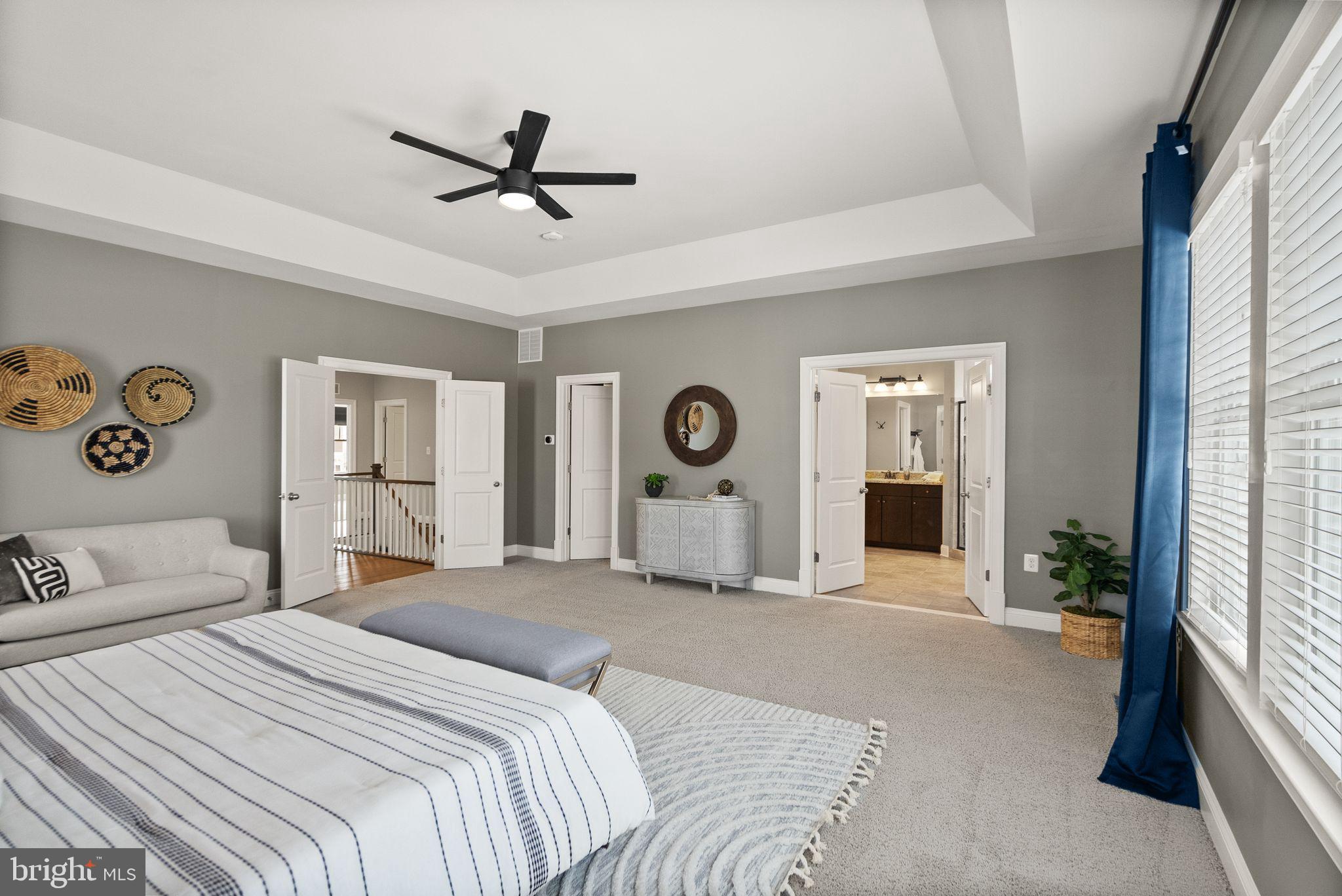 41841 Bloomfield Path Street Ashburn, VA 20148 - Photo 10 of 22 Beautiful tray ceiling and natural light