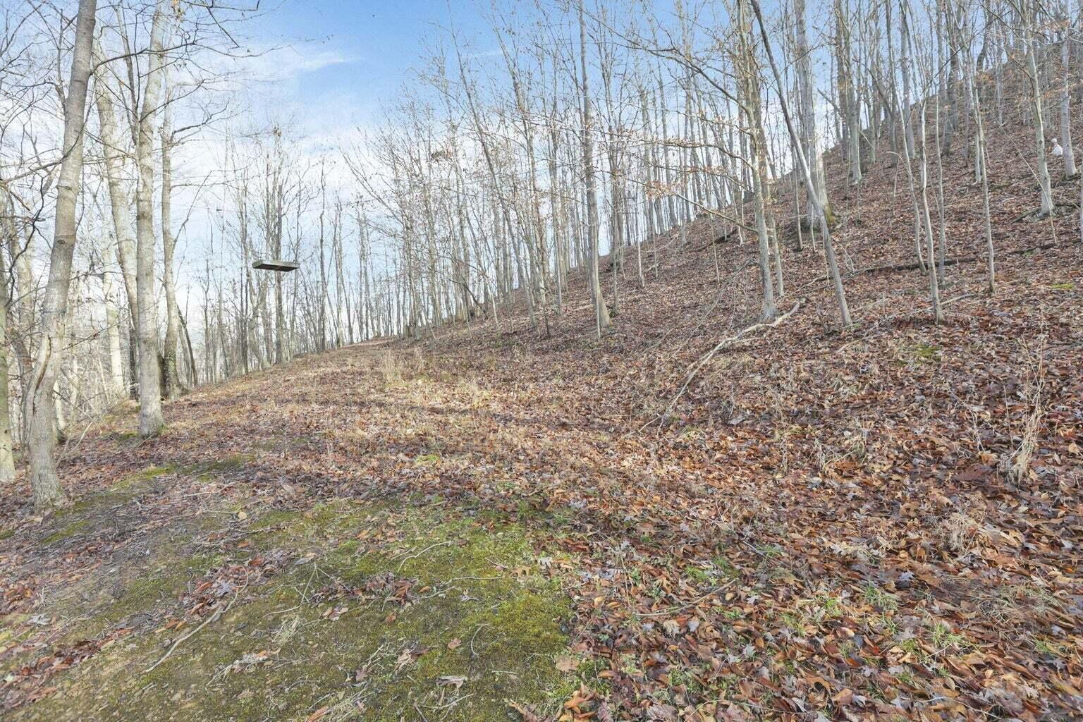 0 Park Road Wellston, OH 45692 - Photo 24 of 50 20250106155843373616000000-o