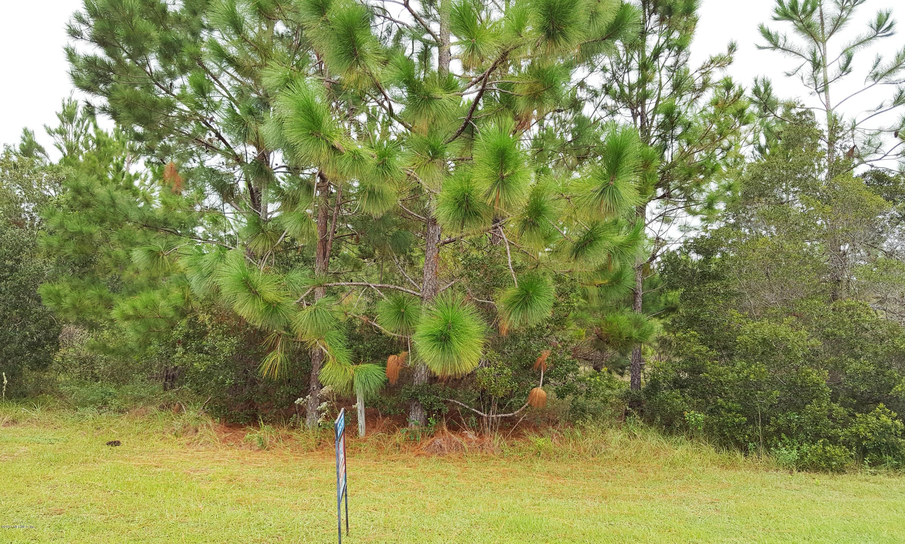 Lot 7 Photo