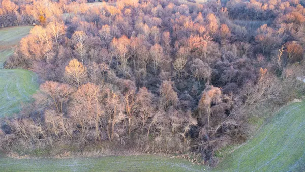 $140,000 | 0 Edith-Nankipoo Road, Ripley, TN 38063