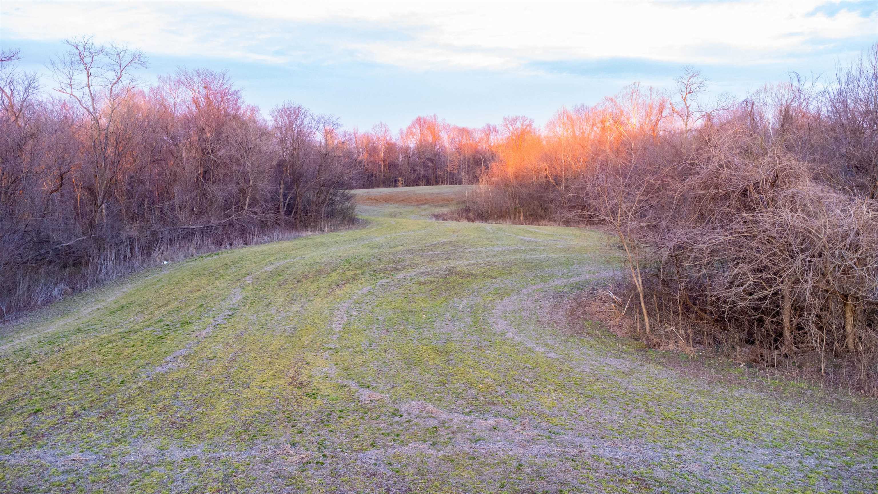 0 Edith-Nankipoo Road Ripley, TN 38063 - Photo 12 of 18