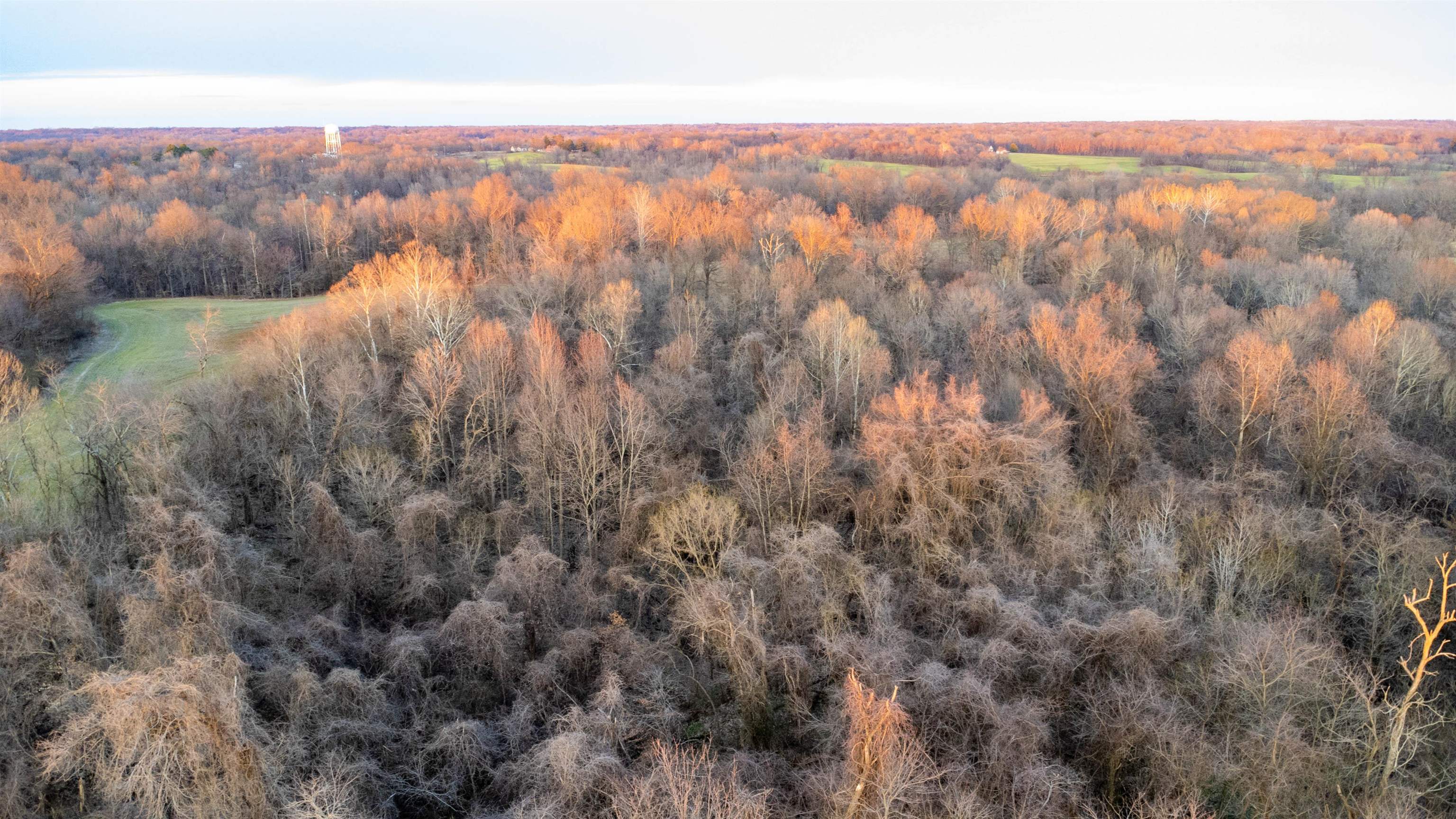 0 Edith-Nankipoo Road Ripley, TN 38063 - Photo 15 of 18