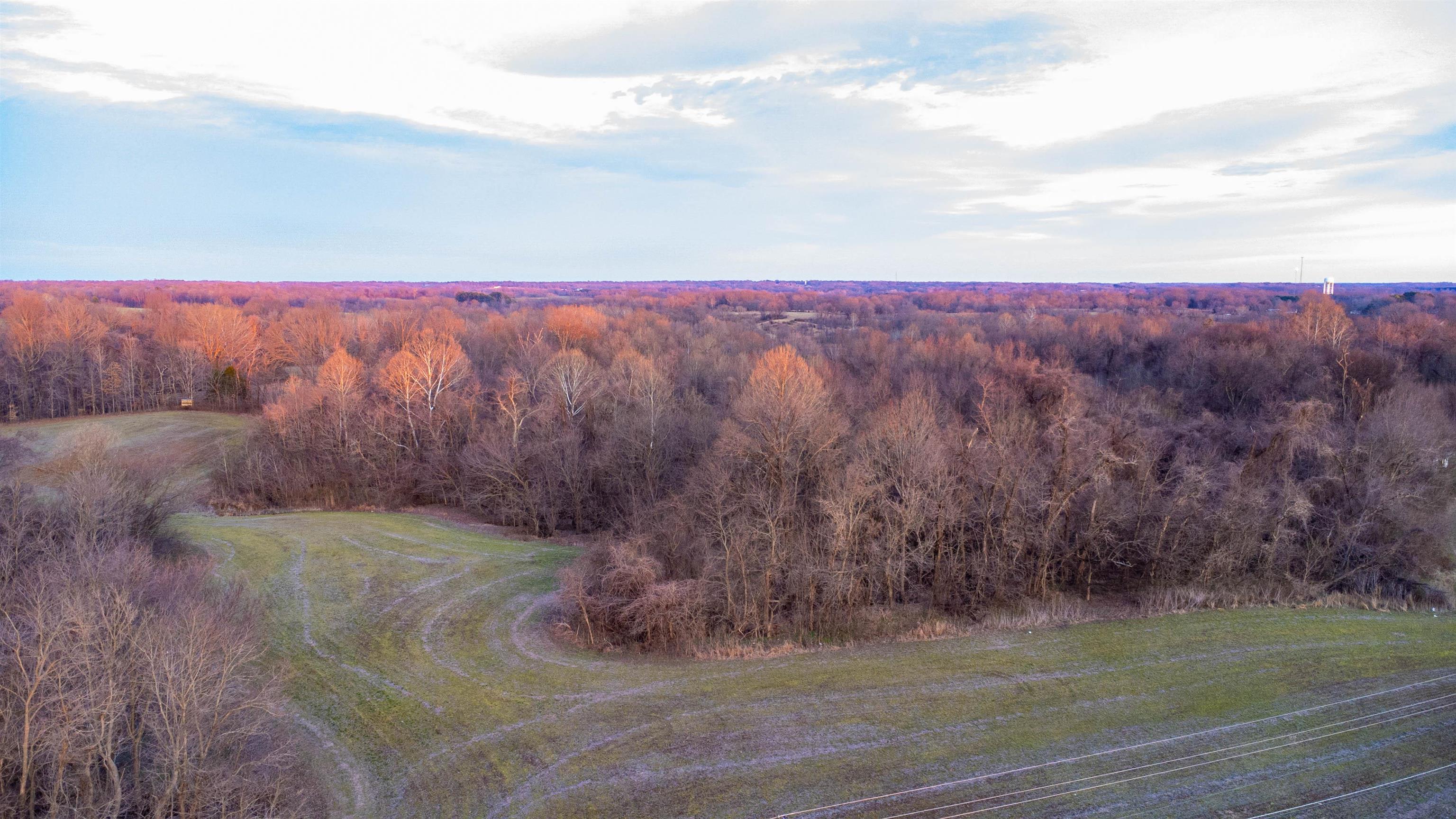 0 Edith-Nankipoo Road Ripley, TN 38063 - Photo 18 of 18