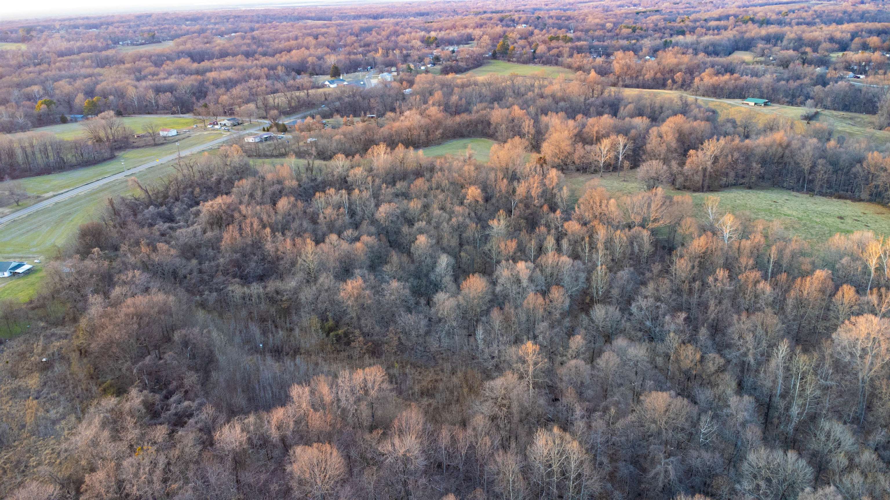 0 Edith-Nankipoo Road Ripley, TN 38063 - Photo 3 of 18