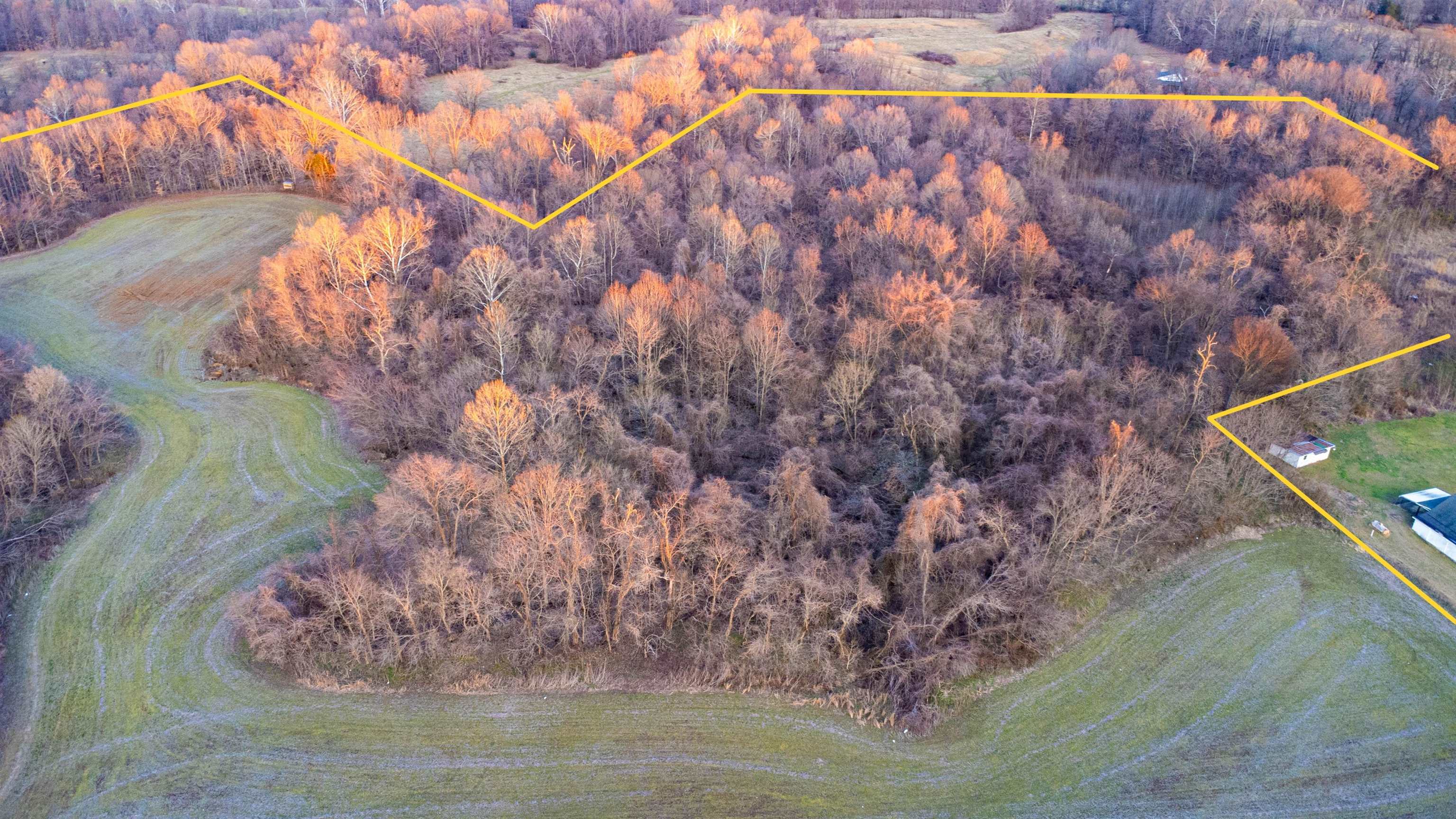 0 Edith-Nankipoo Road Ripley, TN 38063 - Photo 9 of 18