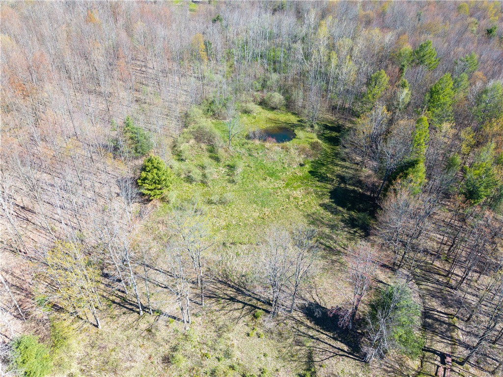 2231 Wearkley Road Wayland, NY 14572 - Photo 42 of 44